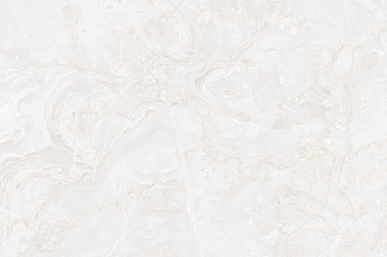 1019_LT_PLAIN