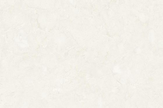 1005_LT_PLAIN