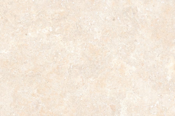 1031_LT_PLAIN