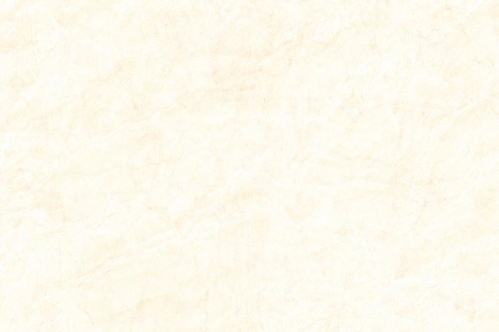 1057_LT_R1_PLAIN
