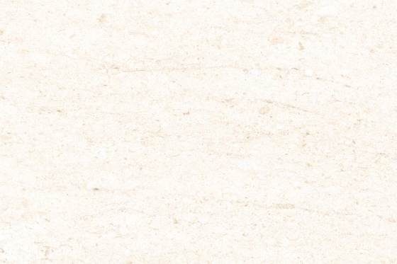 1155-LT-PLAIN