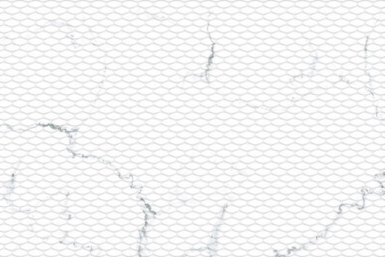 1167 LT R2_P6
