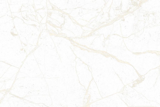 1110_LT_PLAIN R1