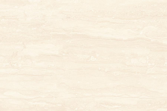 1151_LT_R1-PLAIN