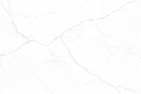 1190_LT_PLAIN