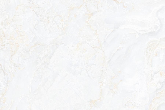 1183-LT-R1_PLAIN