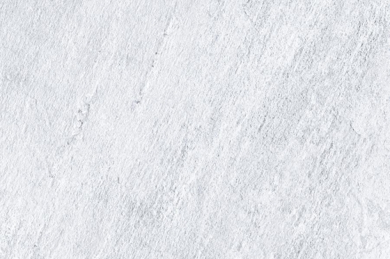 2009_LT_PLAIN
