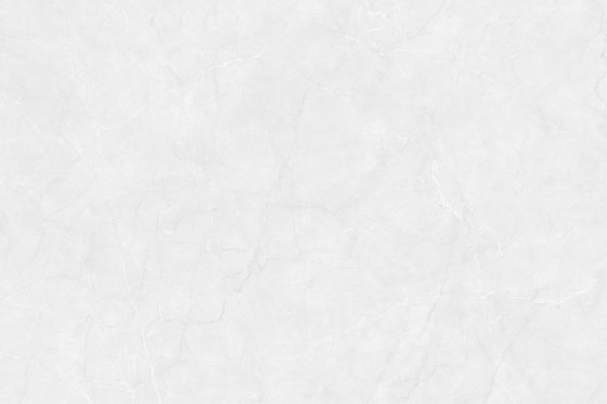 2020_LT_PLAIN