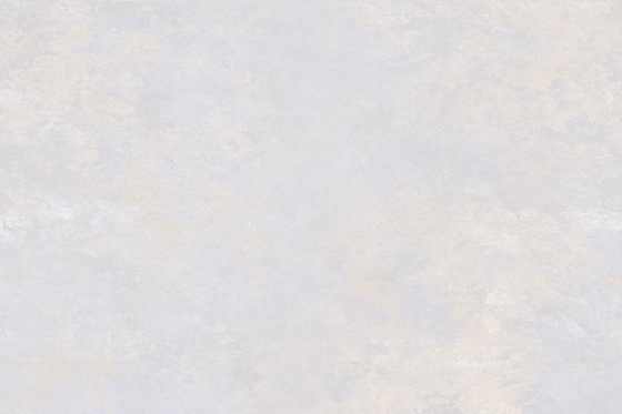 2156_LT_PLAIN