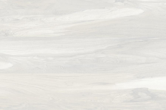 2060_LT_PLAIN