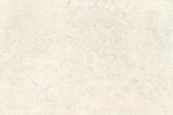 2061_LT_PLAIN