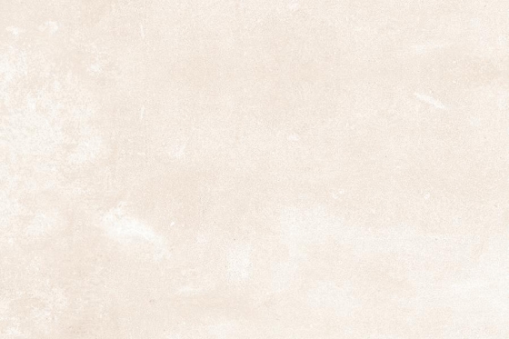 2081_LT_PLAIN