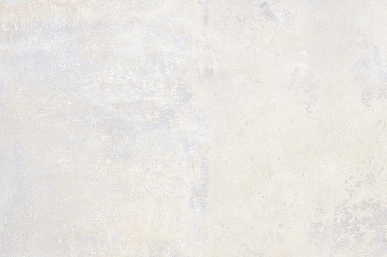 2101_LT_PLAIN