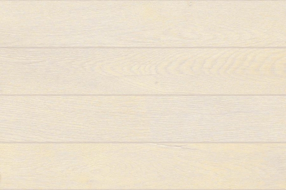 2204_LT_P1