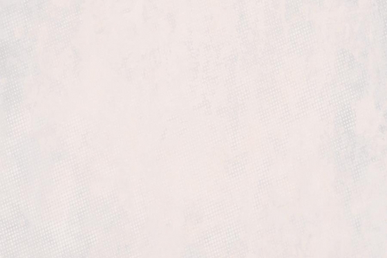2215_LT_Plain