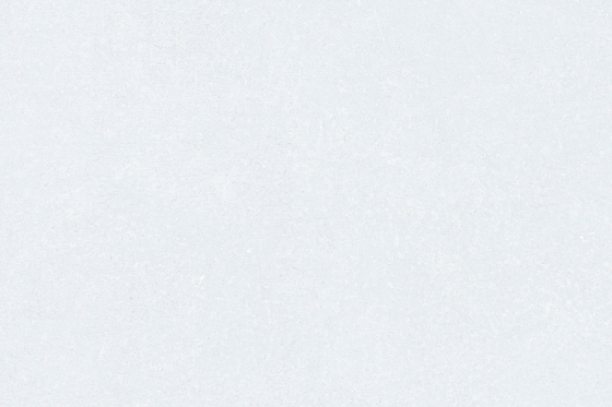 9081_LT (1)