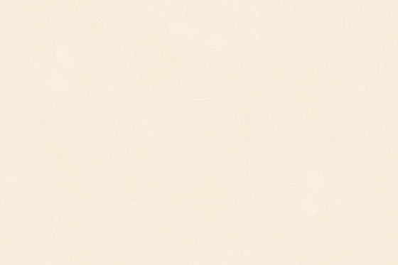 9082_LT (1)