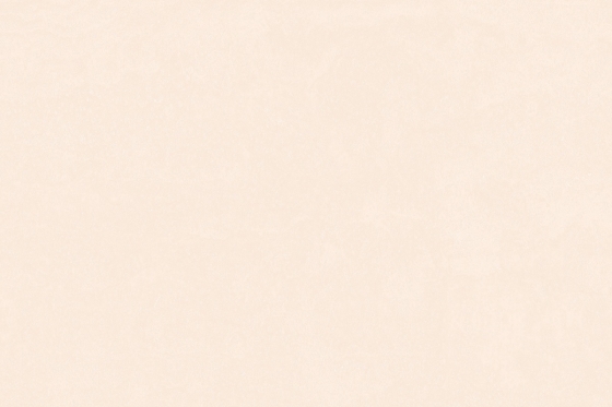9083-LT (1)