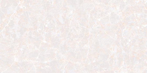 24017 LT R1 (PLAIN)