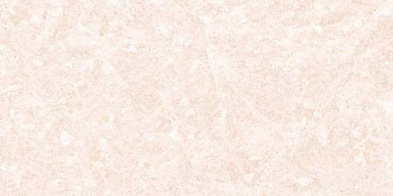 24024 LT (PLAIN)