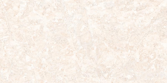 24025 LT (PLAIN)