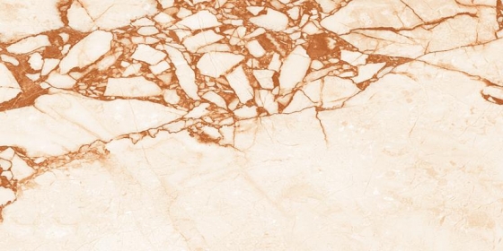 24031 BASE R2(PLAIN)