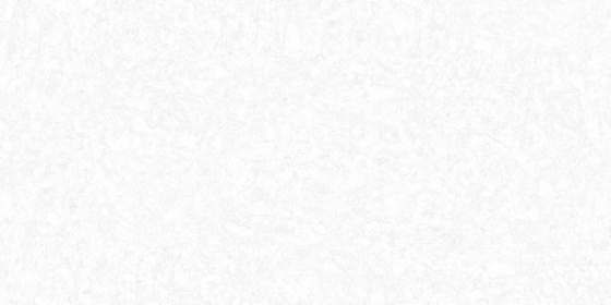 25013 Base (PLAIN)