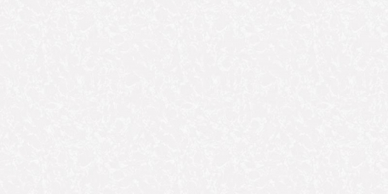 SW 25014 Base (PLAIN)