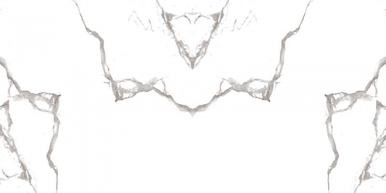 SW 25008 Base (PLAIN)